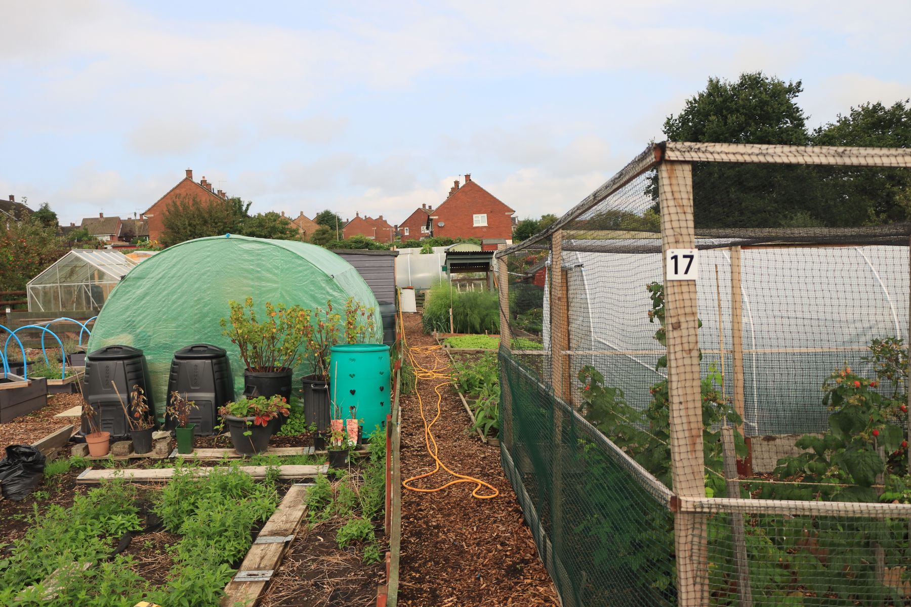 Allotment plots and greenhouses in an English community garden